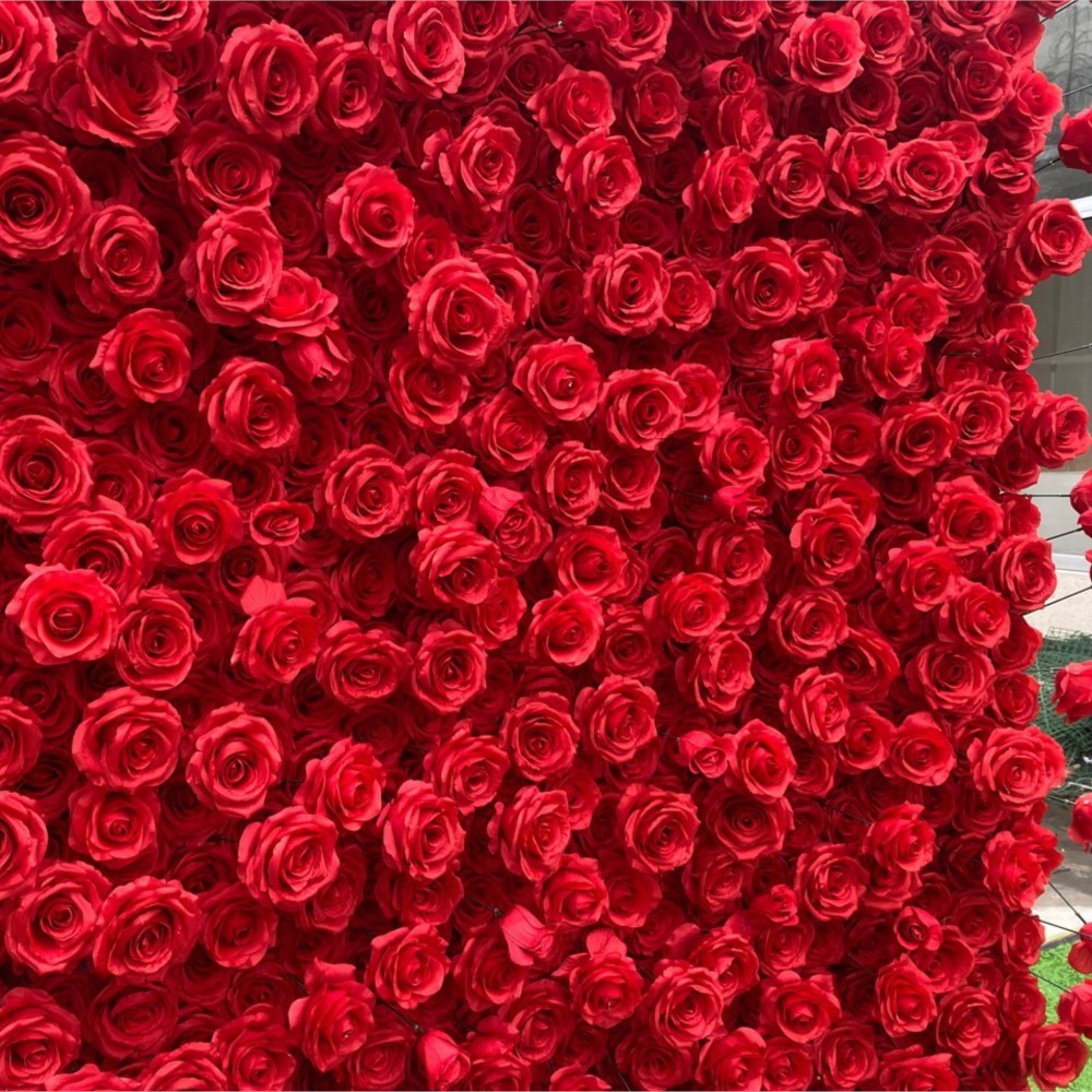 Uflower rosa vermelha 5d pano  - Wedding Backdrop Curtain avaliação e preço