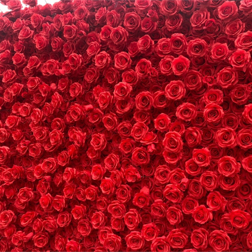 Uflower rosa vermelha 5d pano  - Wedding Backdrop Curtain avaliação e preço