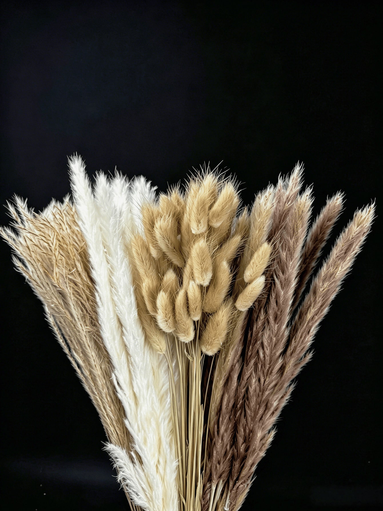 10/20/30 peças de Grama Pampas - Wedding Arch Flower avaliação e preço