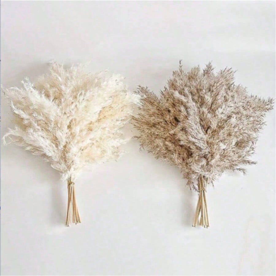 10/20/30 peças de Grama Pampas - Wedding Arch Flower avaliação e preço